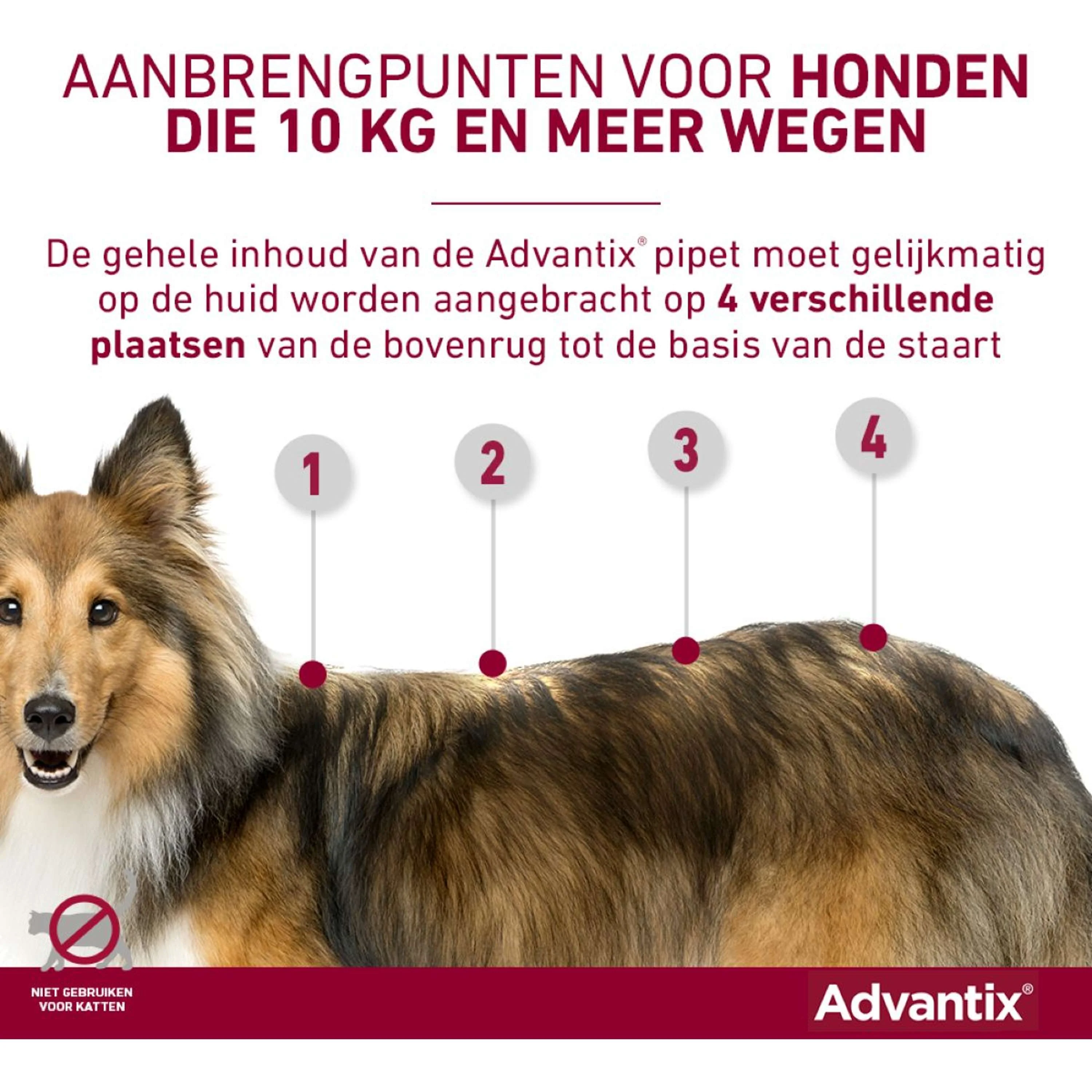 Productafbeelding 7