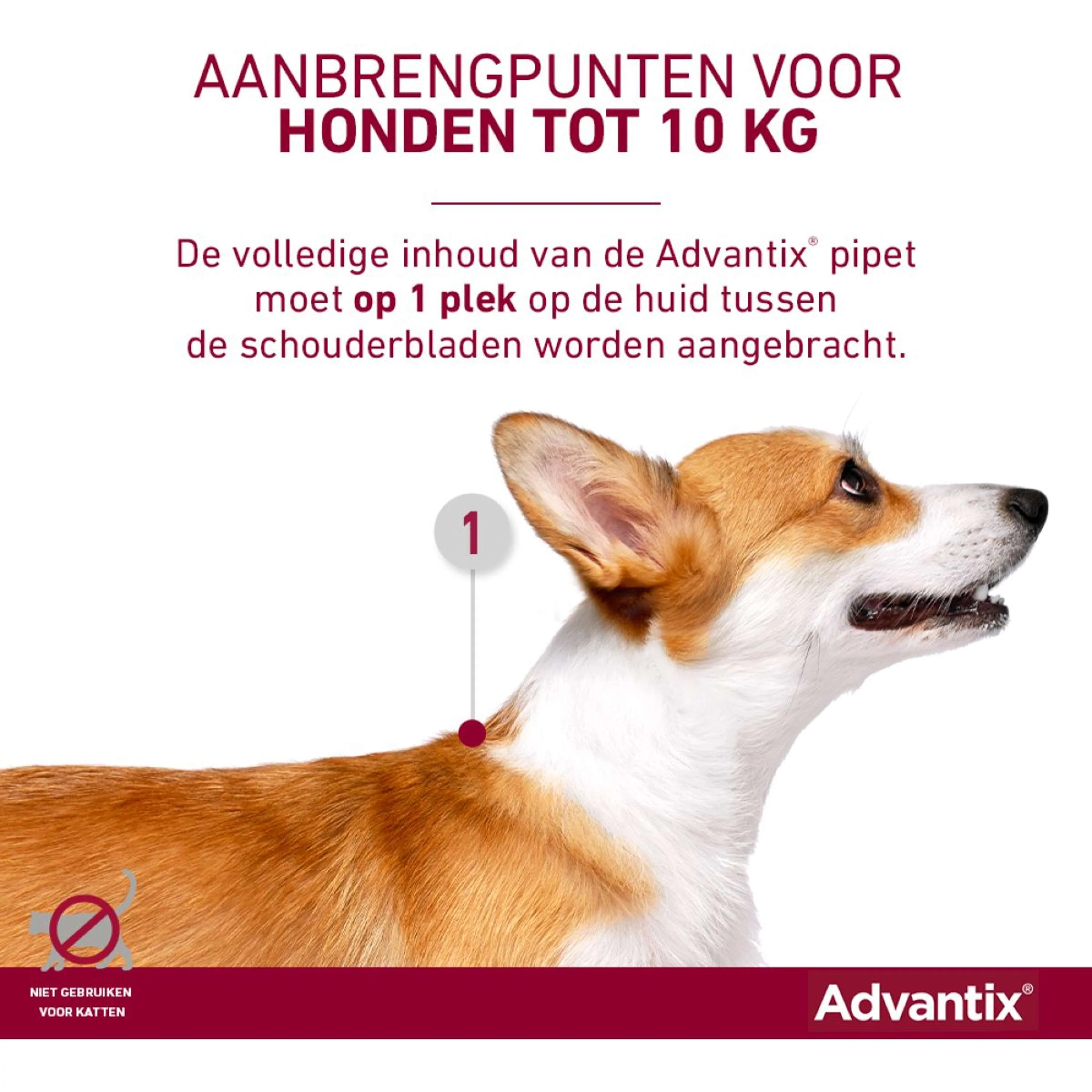 Productafbeelding 7