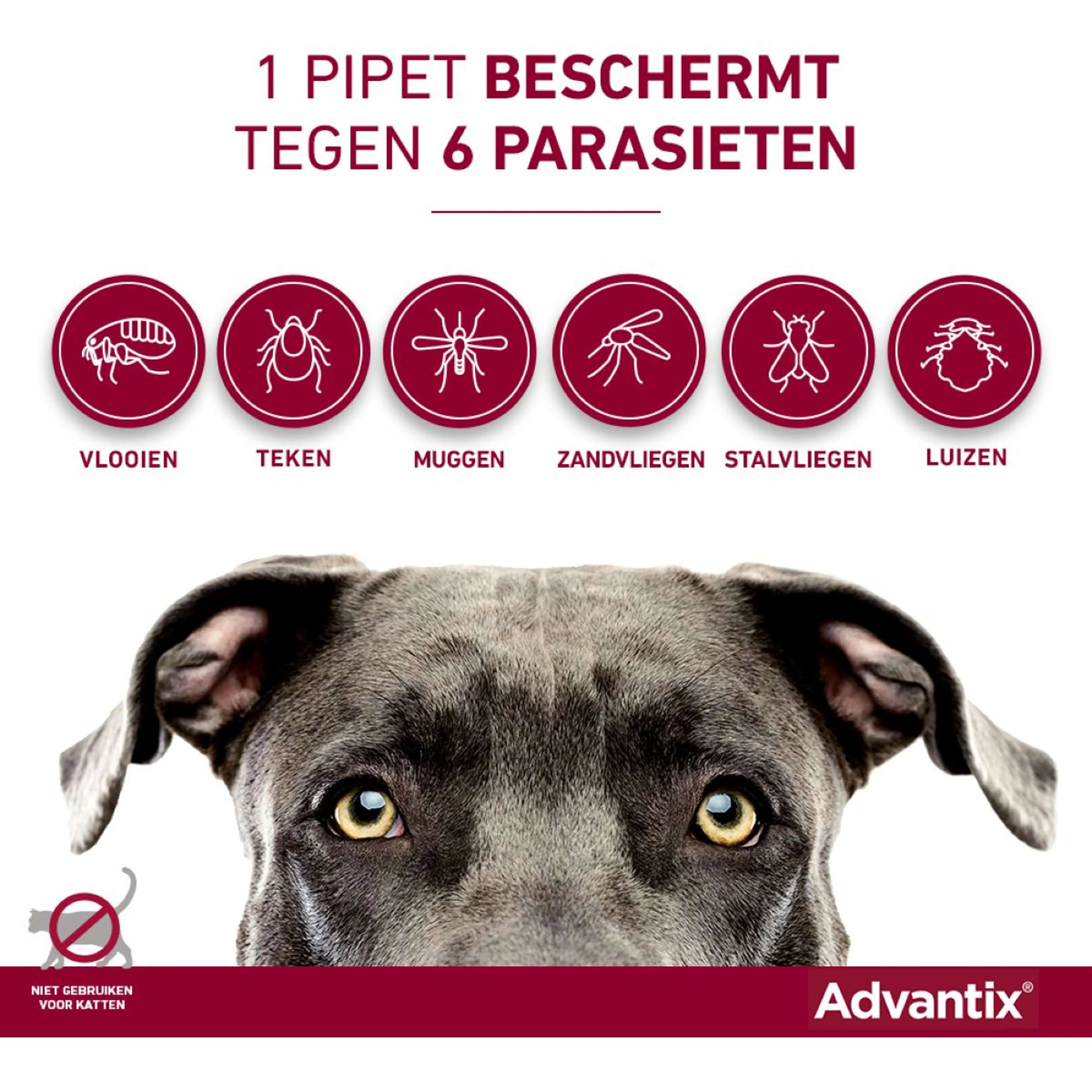 Productafbeelding 8