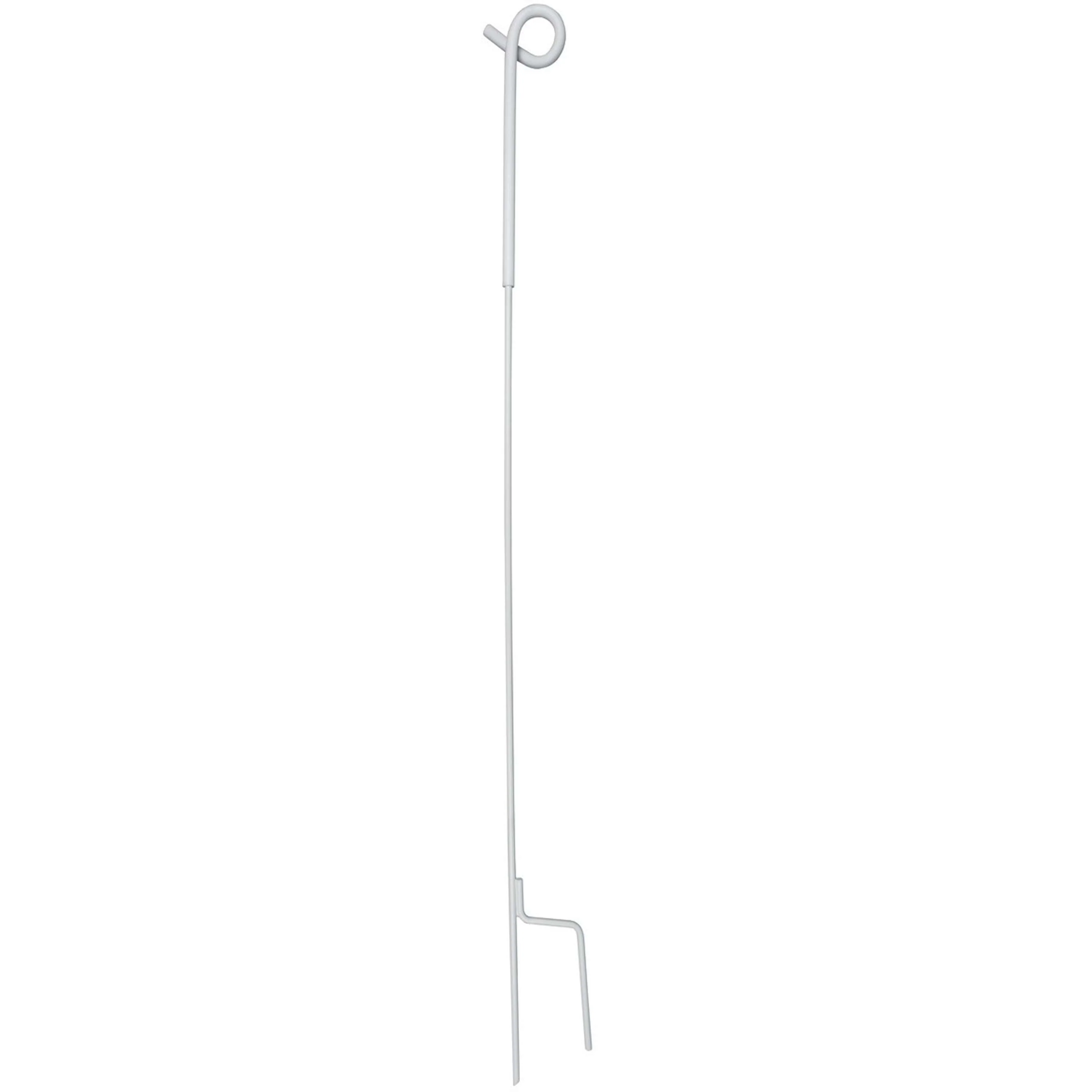 Miniatuur 2
