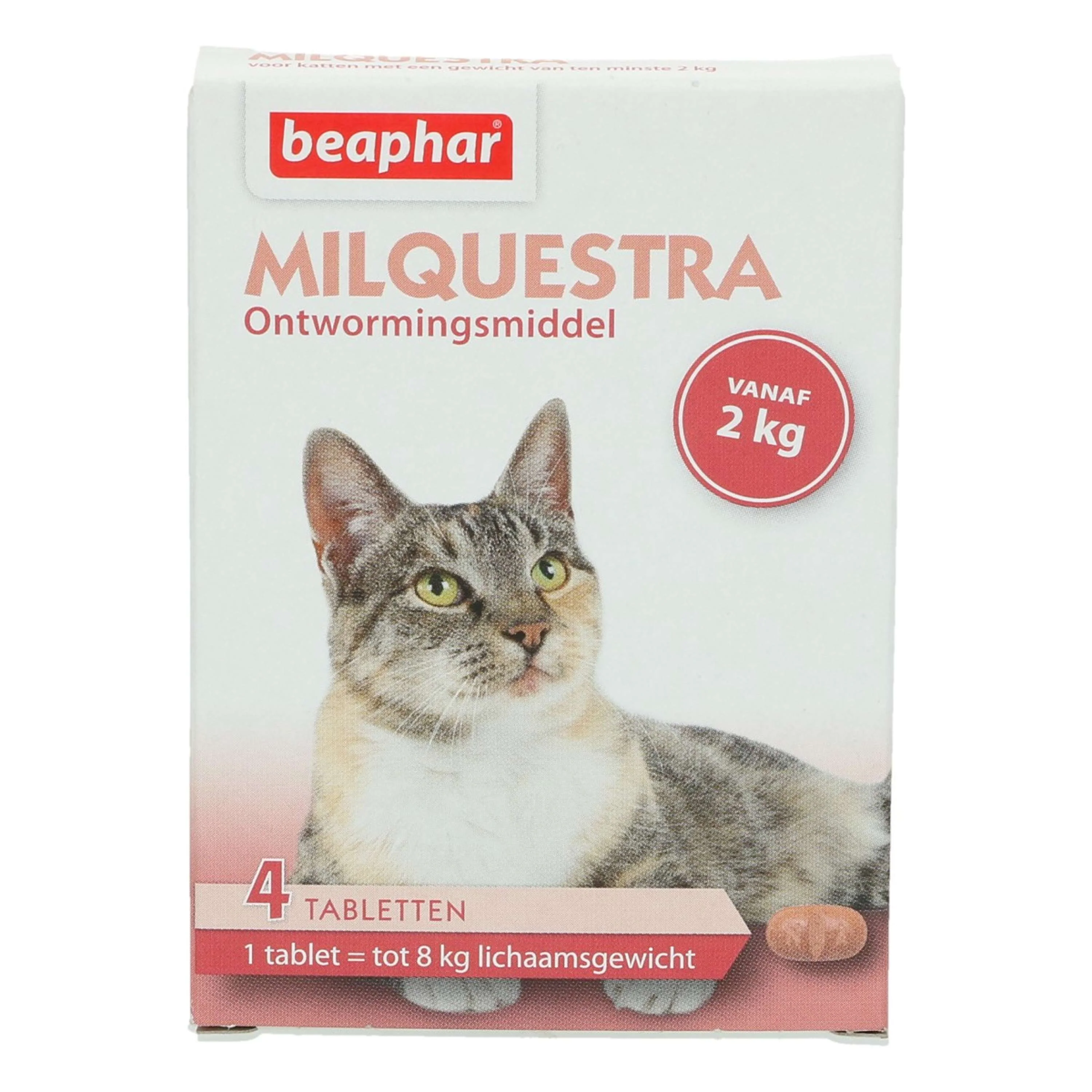 Miniatuur 1