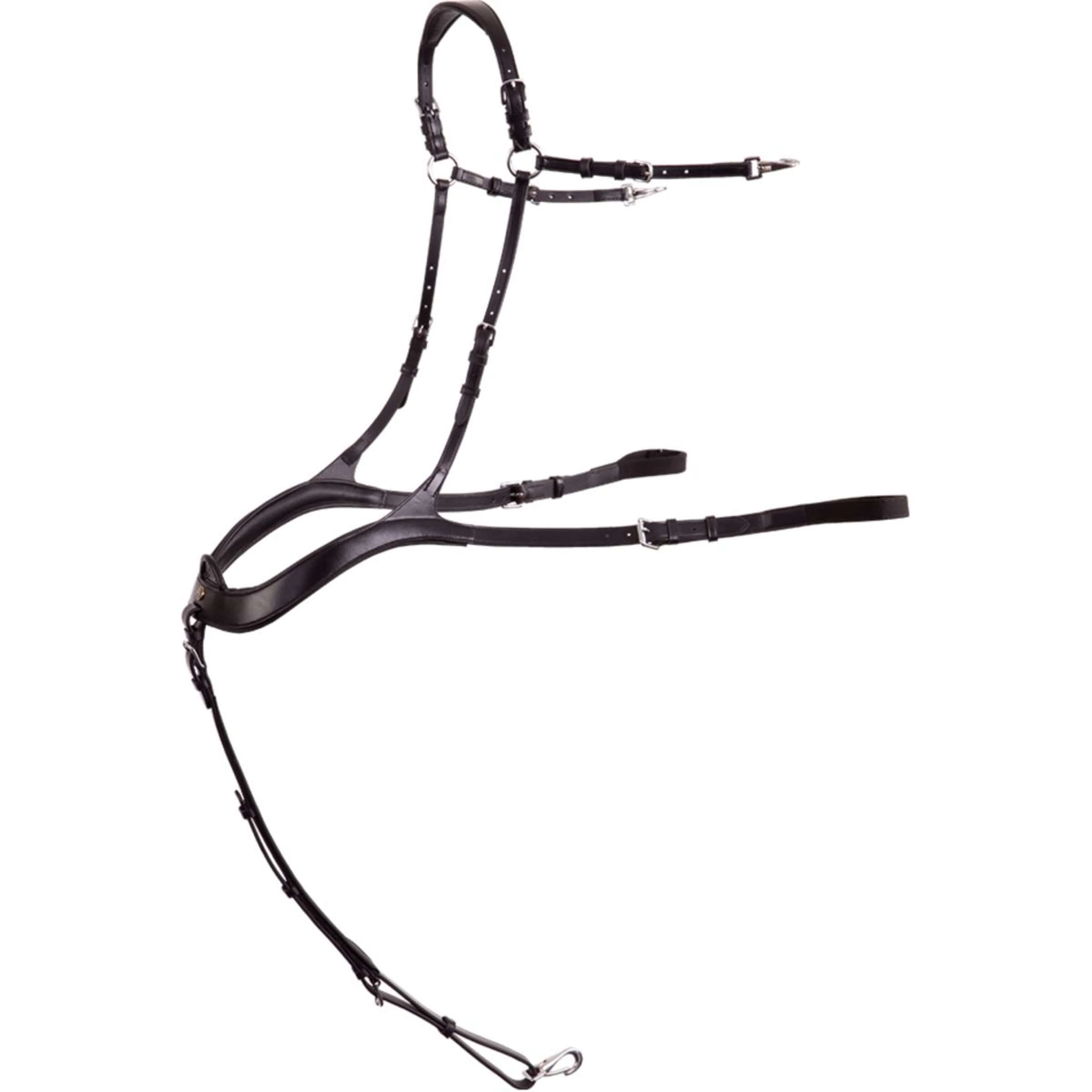 Miniatuur 1