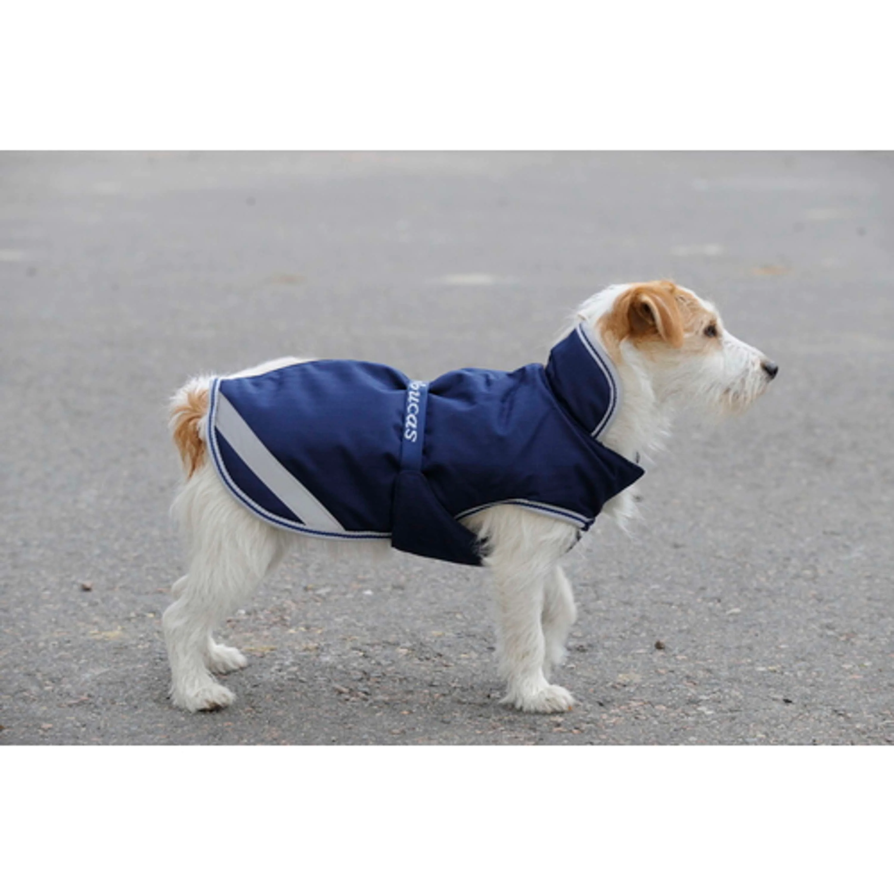 Productafbeelding 11