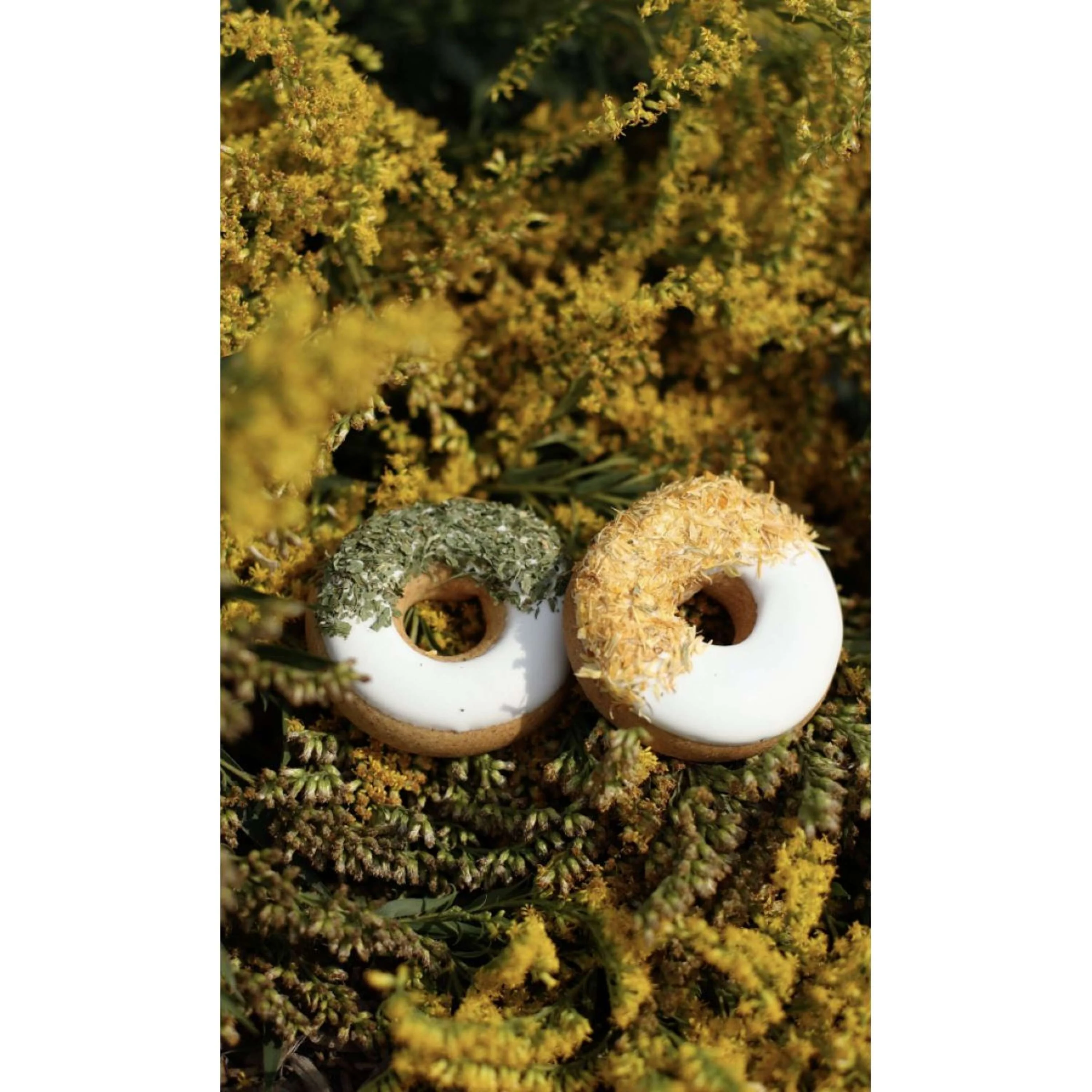 Miniatuur 2