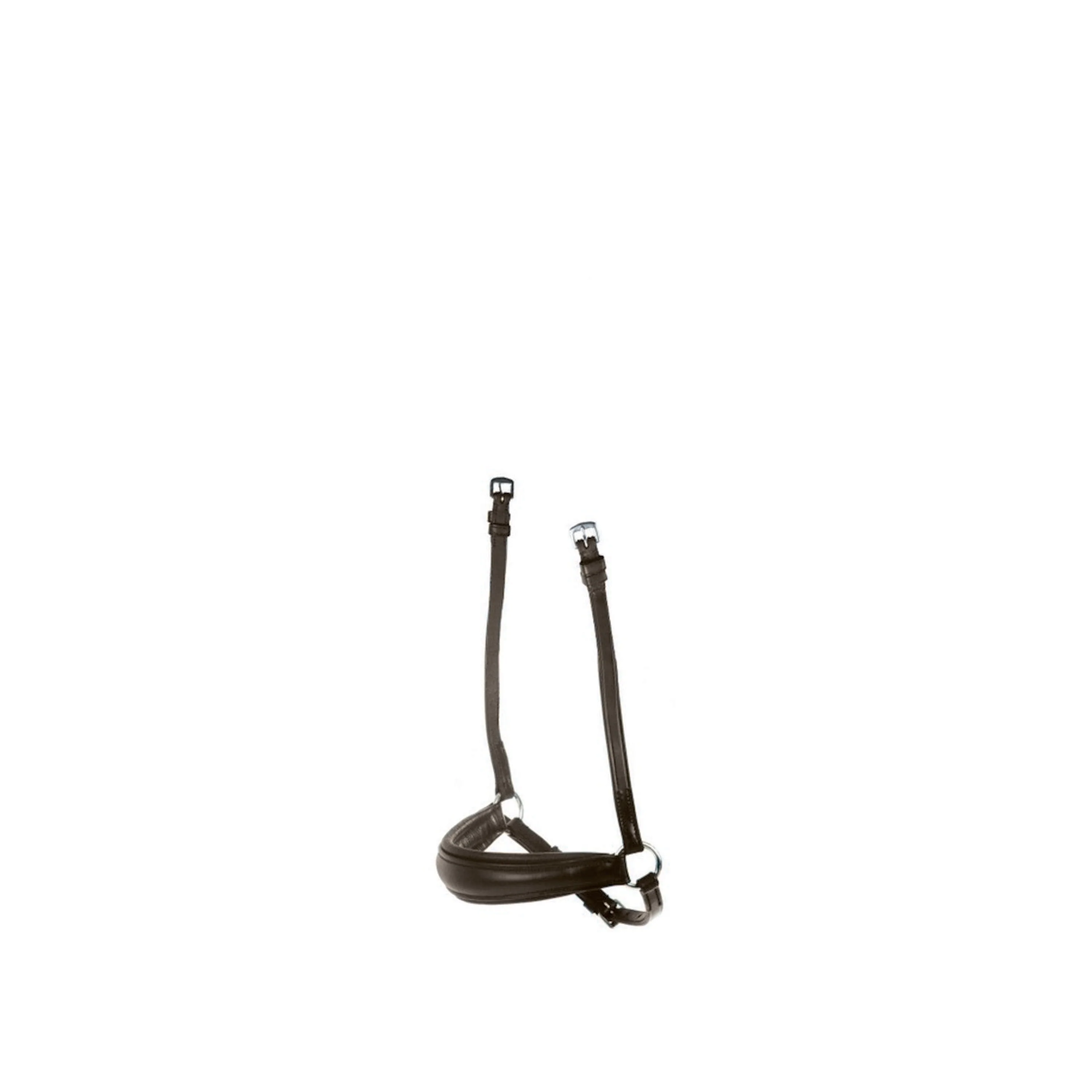 Miniatuur 1