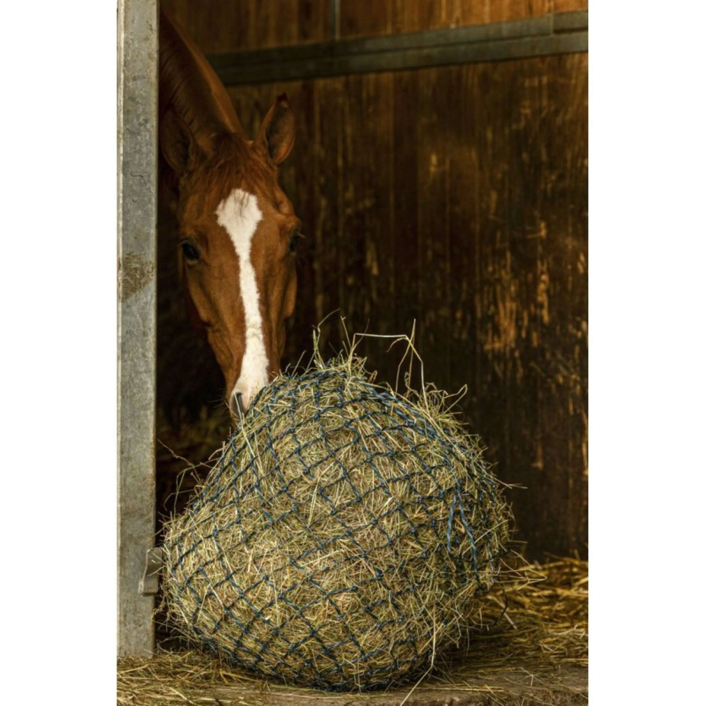 Alles behalve Kentucky