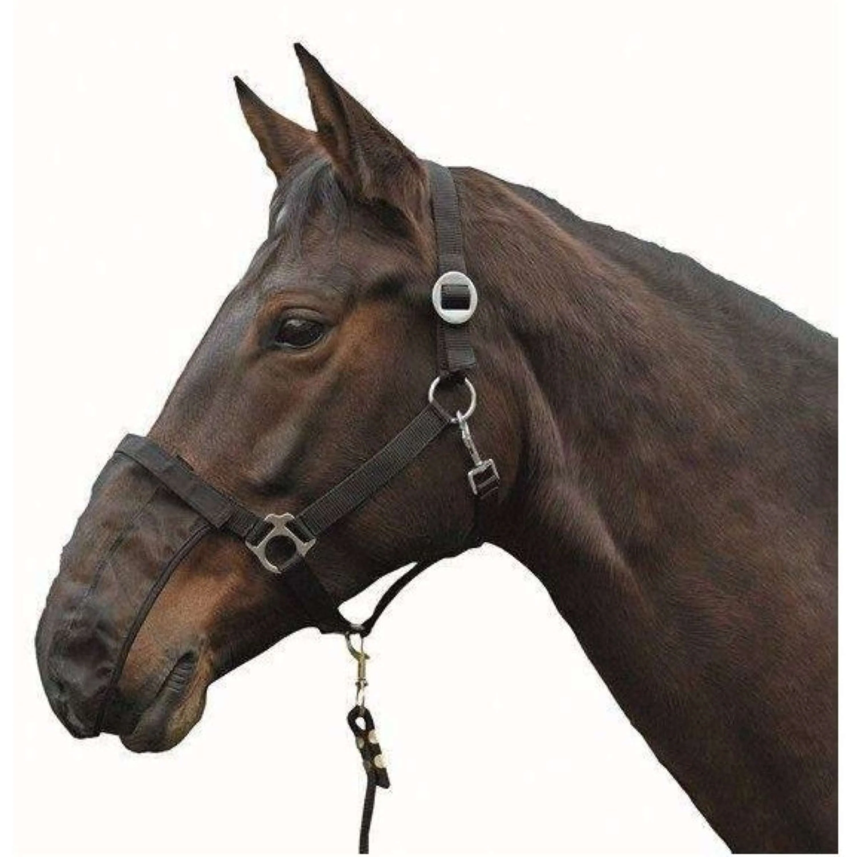 Productafbeelding 2