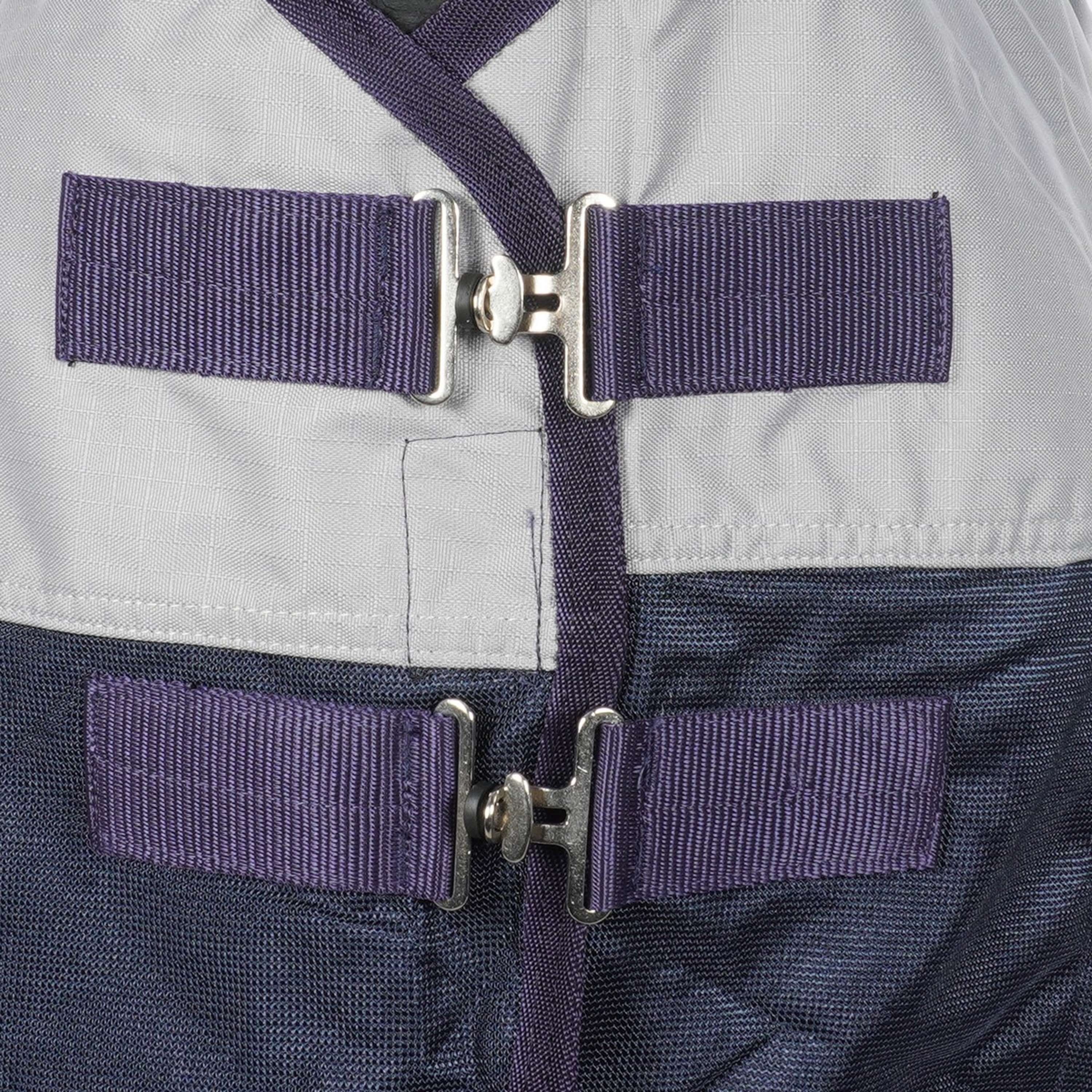 Miniatuur 2