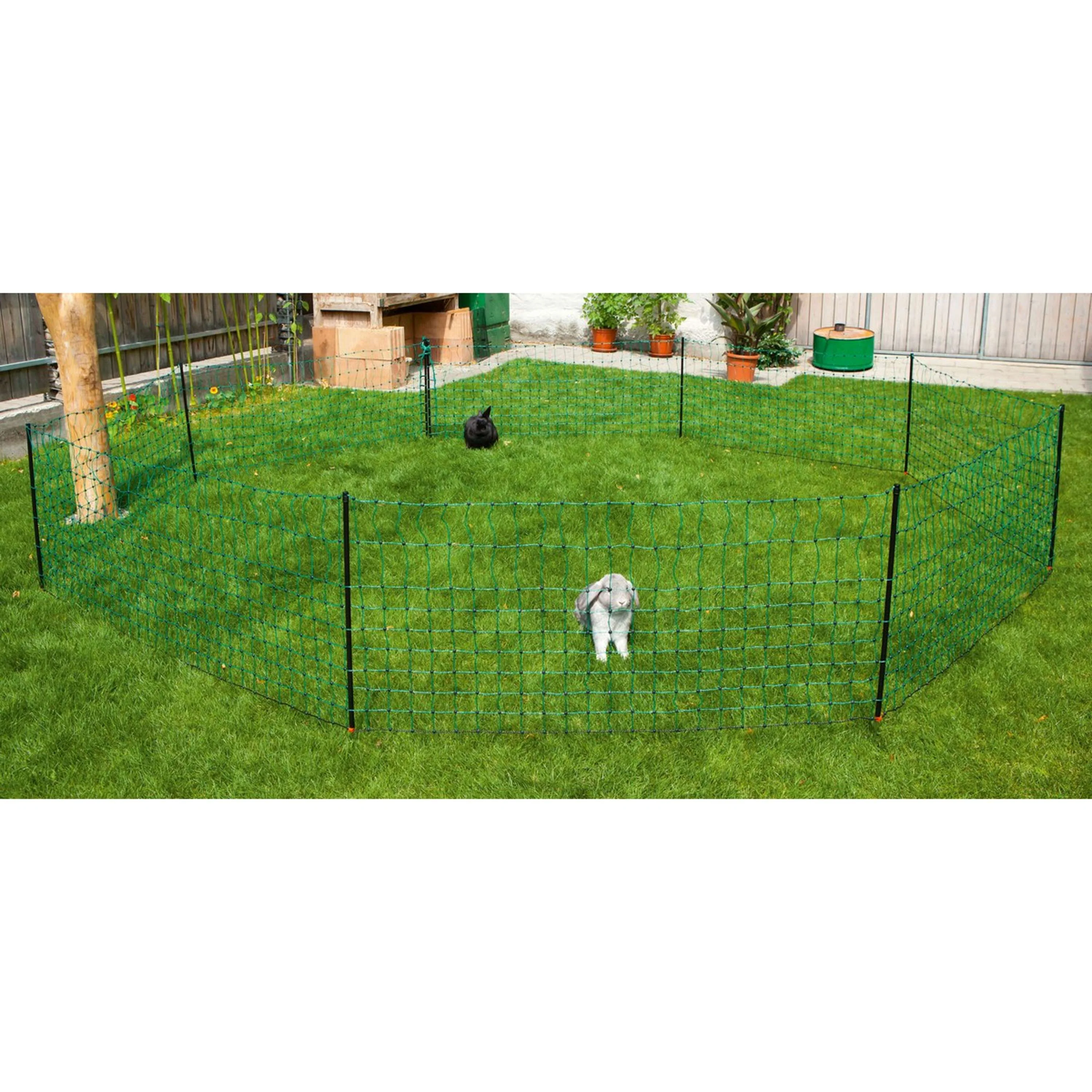 Productafbeelding 1
