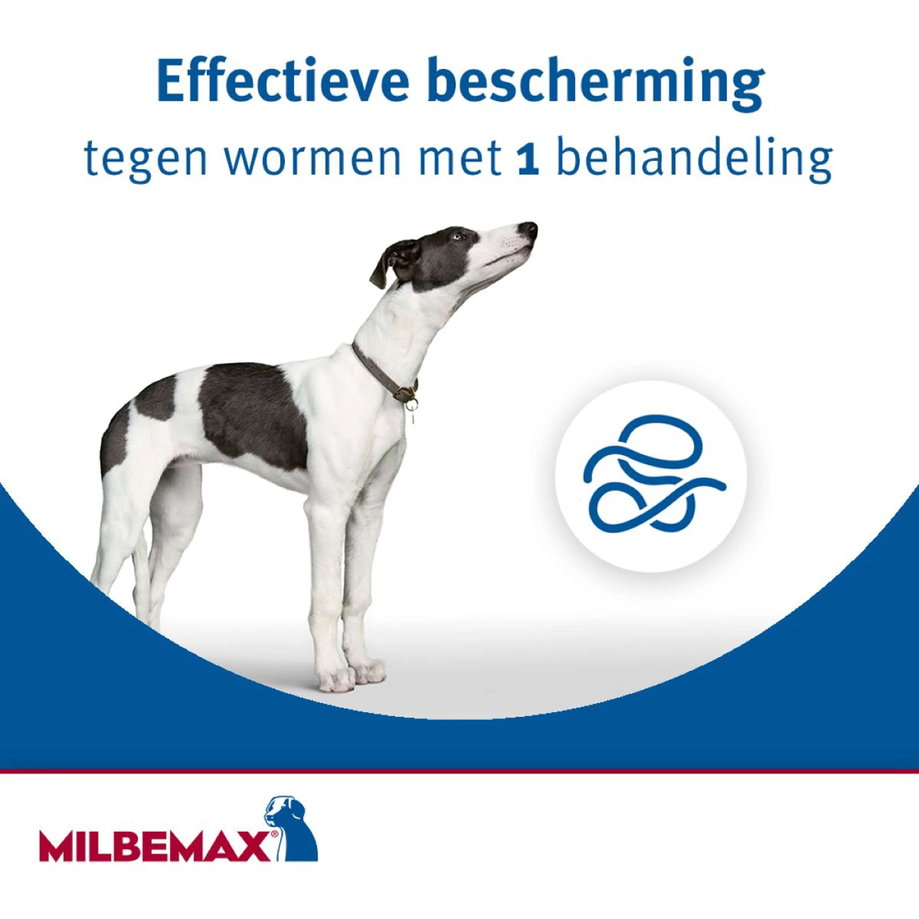 Productafbeelding 5