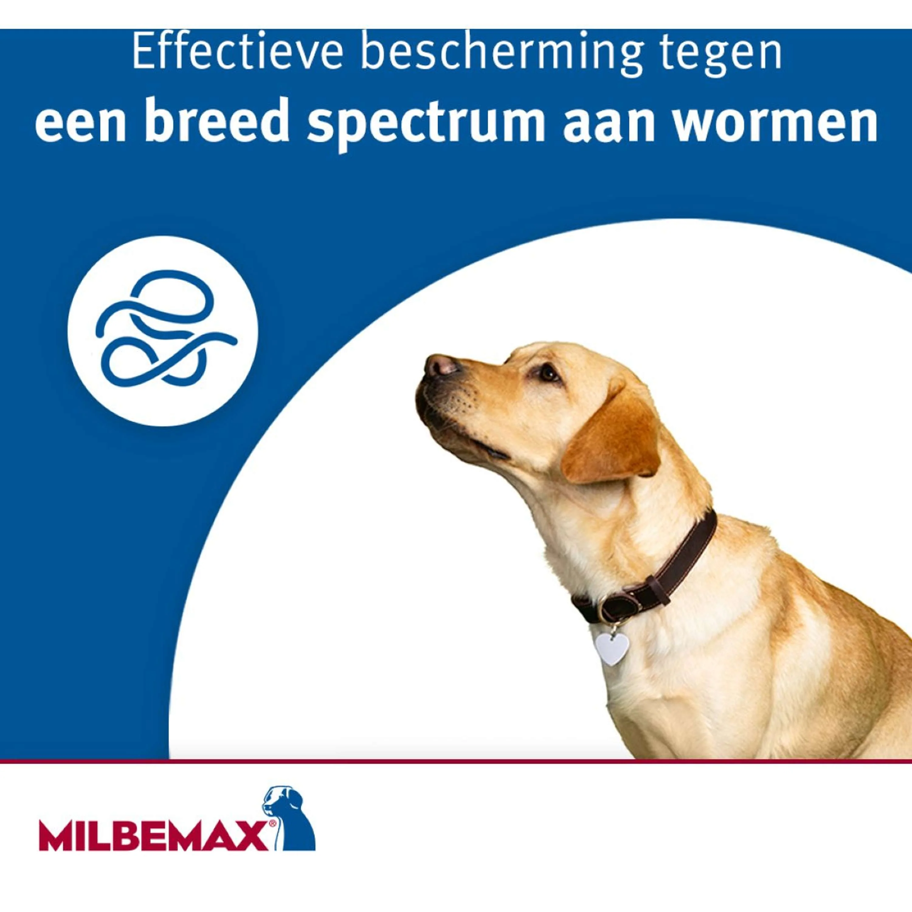 Productafbeelding 6