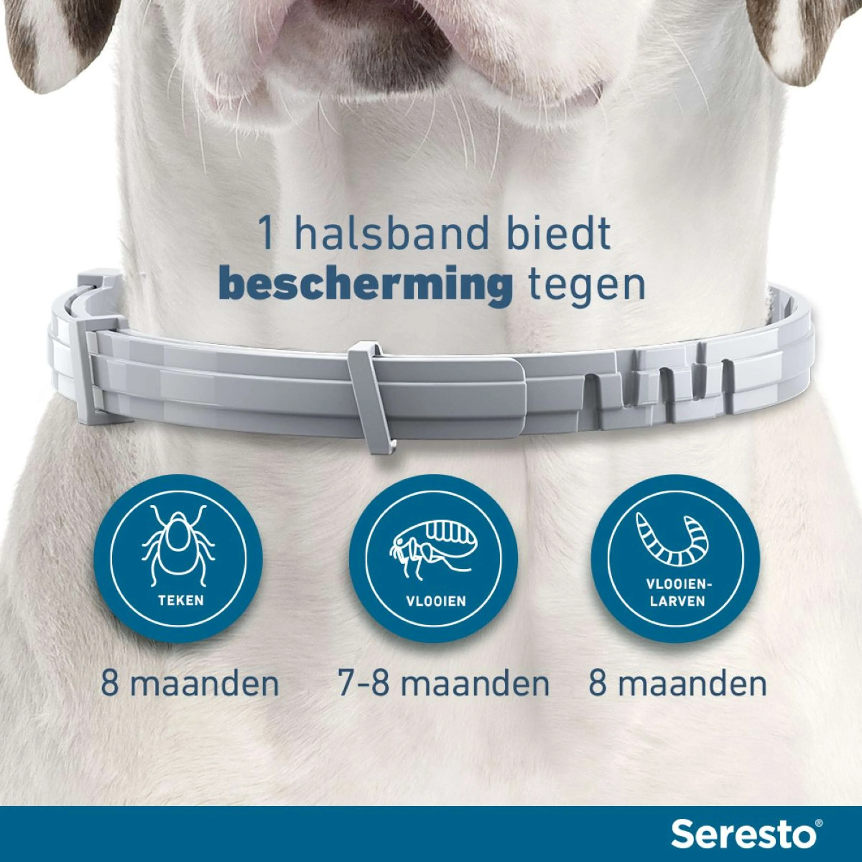 Productafbeelding 8