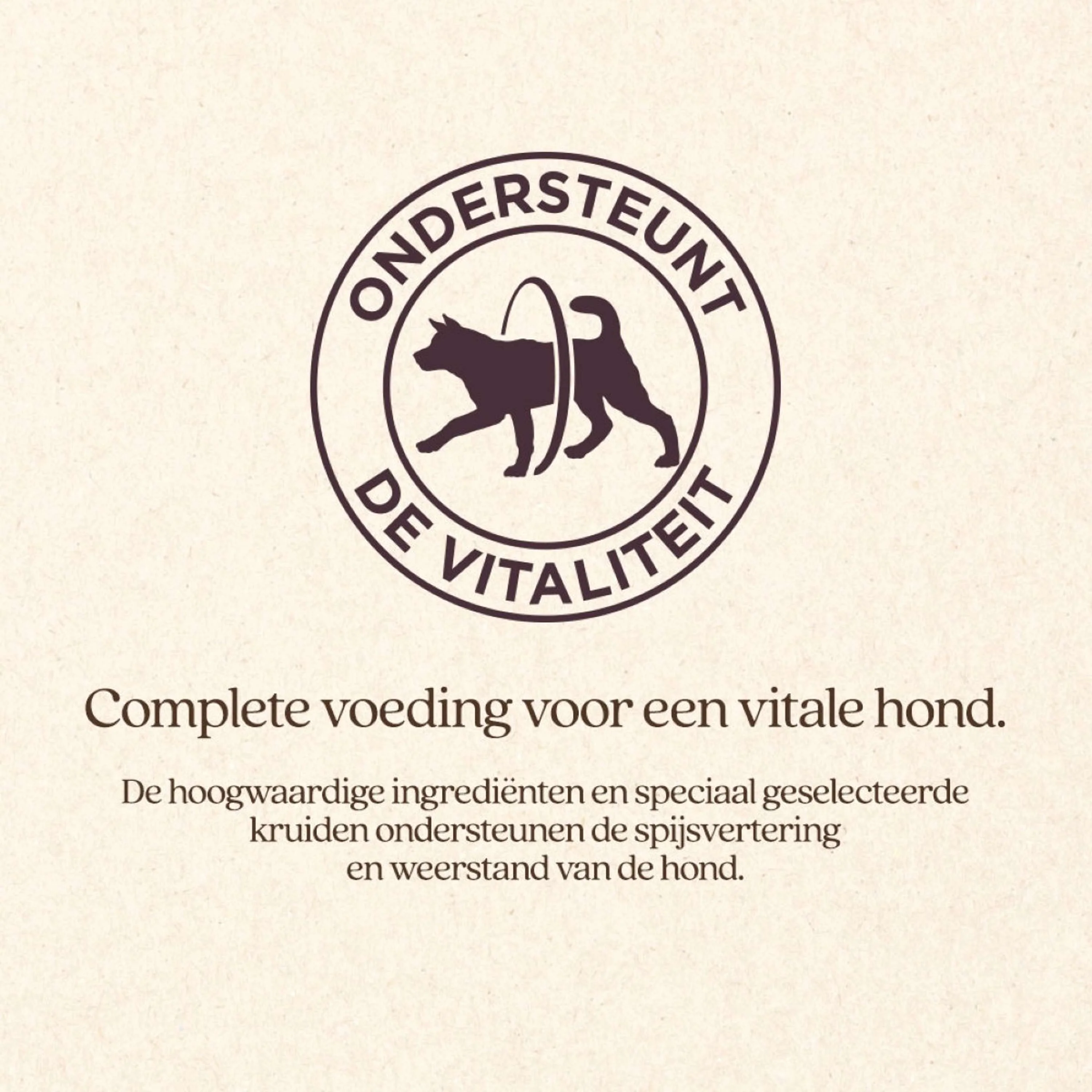 Productafbeelding 5