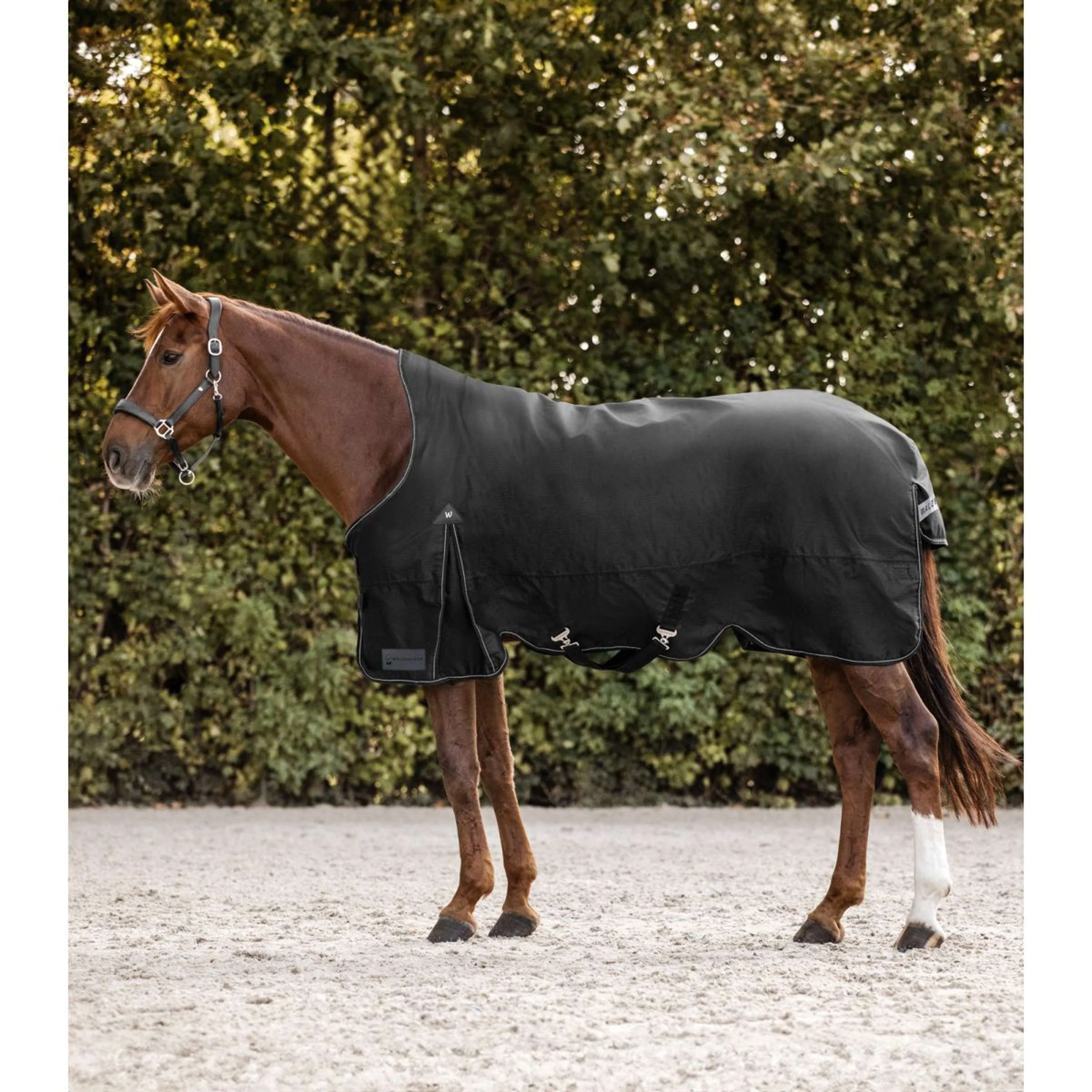Productafbeelding 1