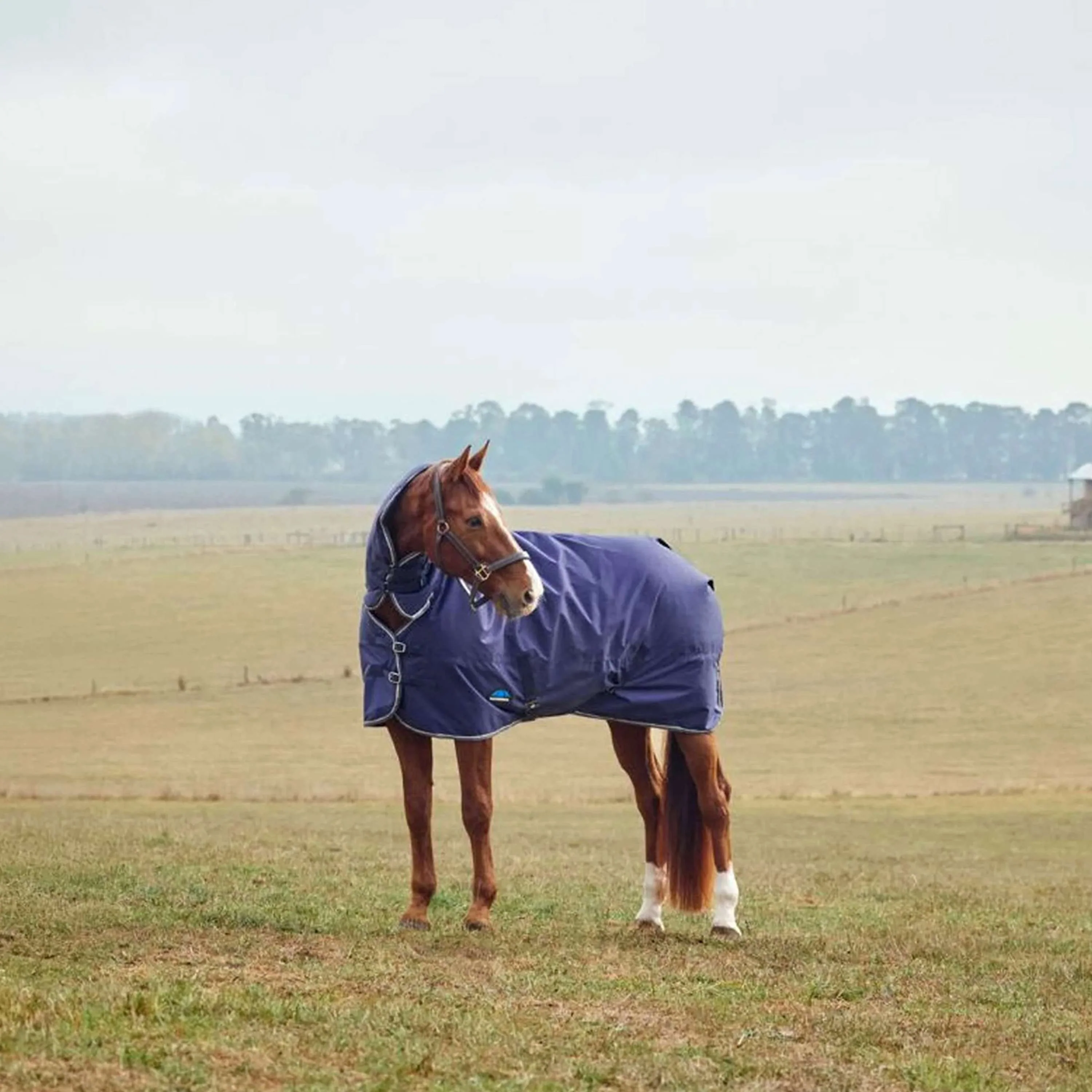 Productafbeelding 2